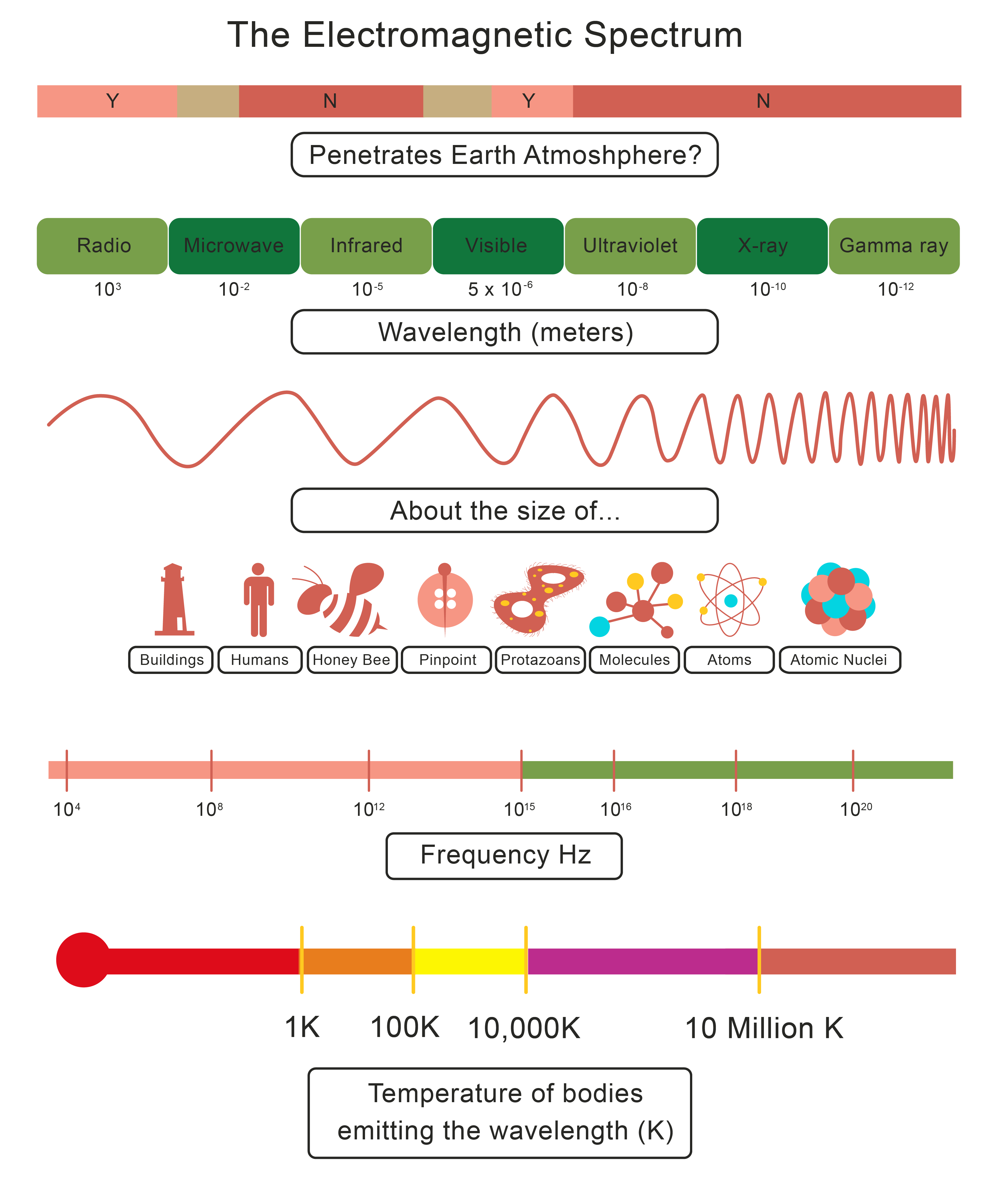 the-diagram-below-shows-the-electromagnetic-spectrum